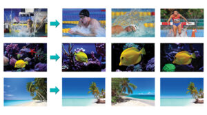 تشخیص شباهت های موجود در تصاویر به کمک هوش مصنوعی