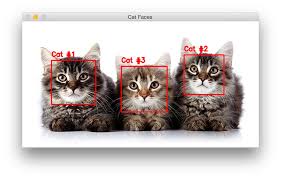 استفاده از شبکه عصبی برای تشخیص گربه در تصاویر