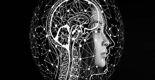 راز چگونگی تشخیص گفتار هدف در مغز برای محققان حوزه پردازش گفتار هوشمند هویدا شد!