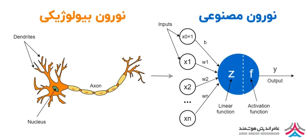 نورون بیولوژیکی در مقابل نورون مصنوعی